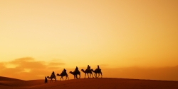 morocco-camels - 複製