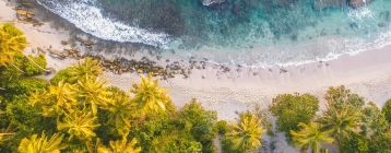 pexels-ollivves-1078983