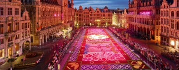 fower carpet brussels _封面2