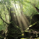 世界遺產秘境