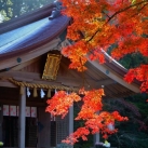 竈門神社